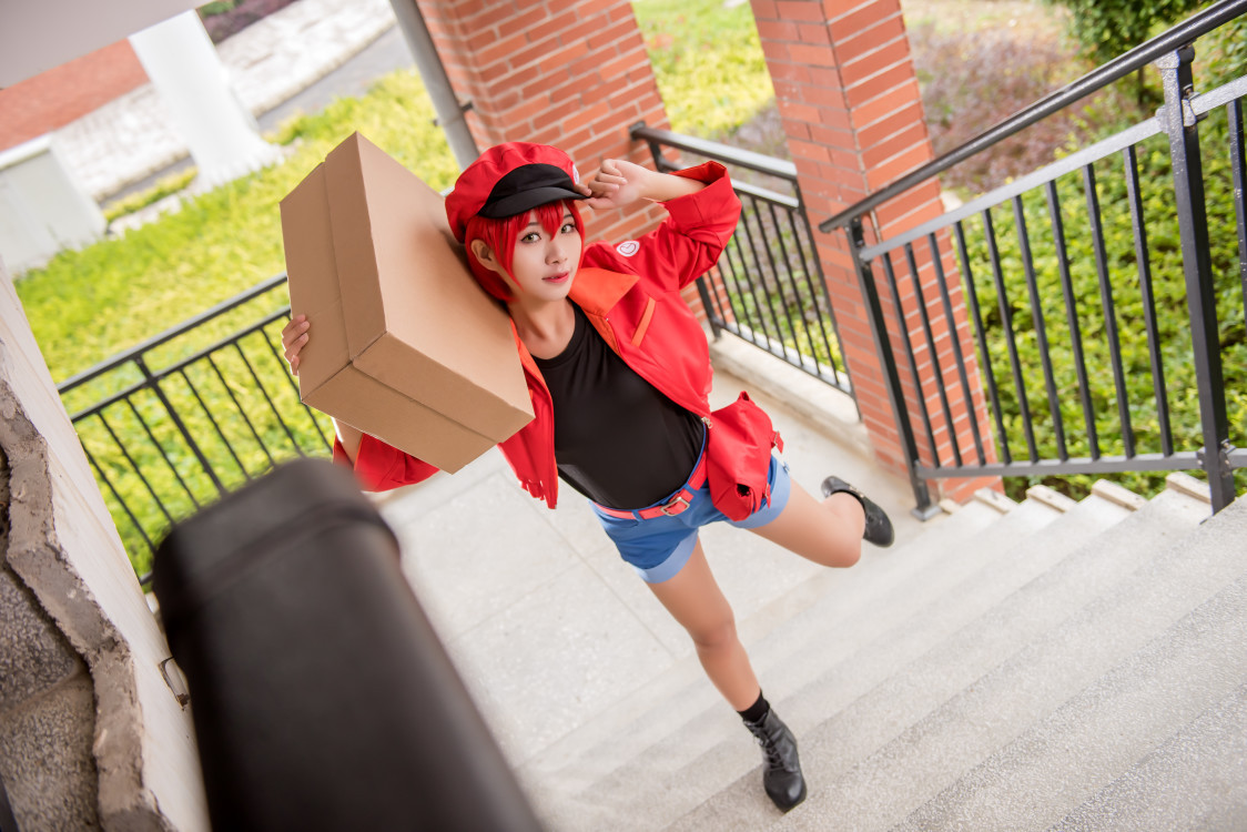 工作细胞红细胞cosplay