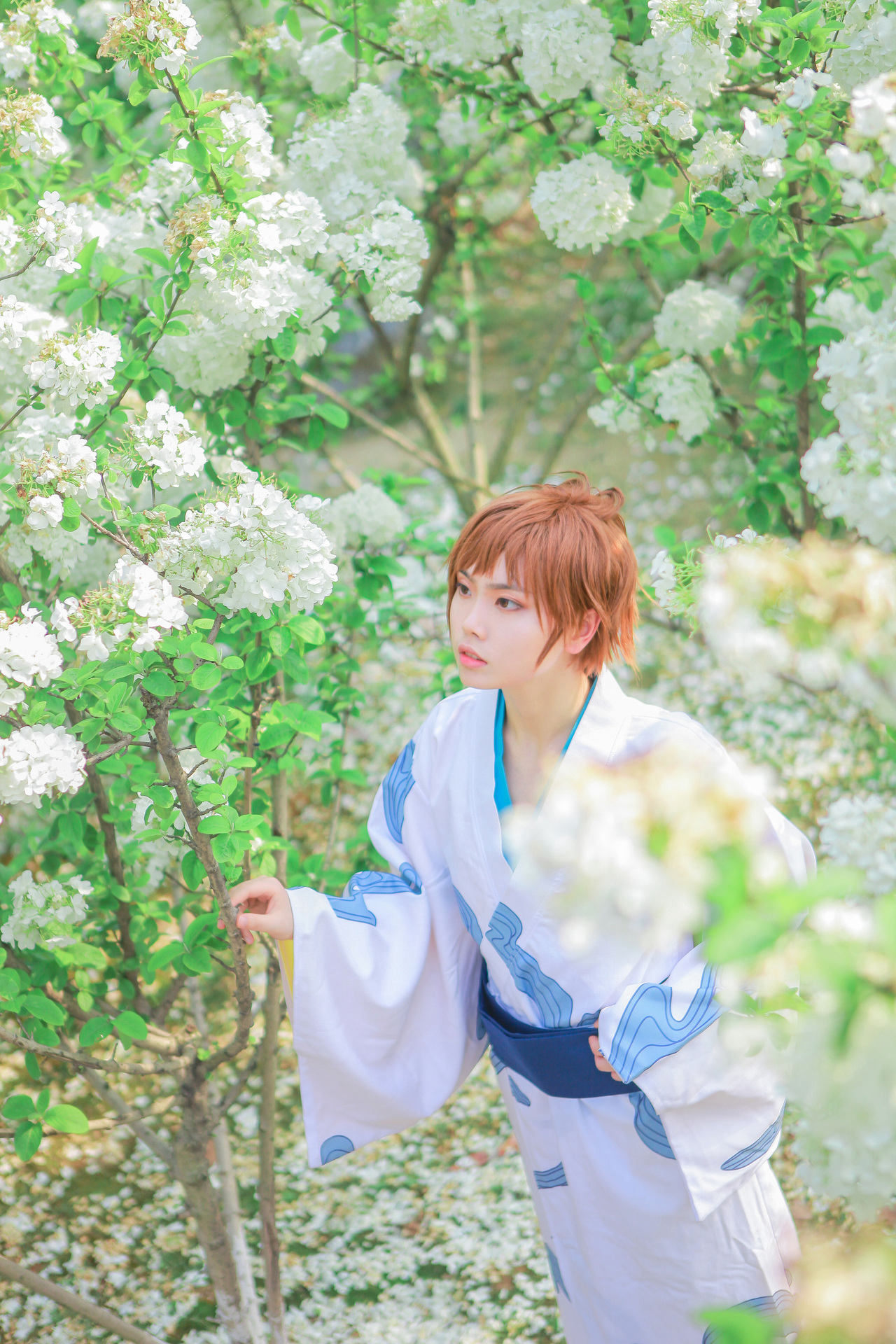 翼年代记樱狼cosplay