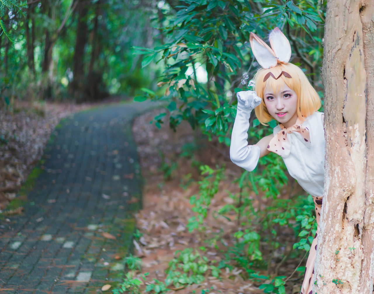 兽娘动物园薮猫cosplay