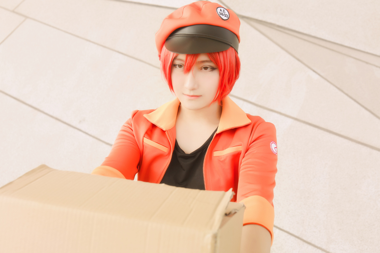 工作细胞红细胞cosplay