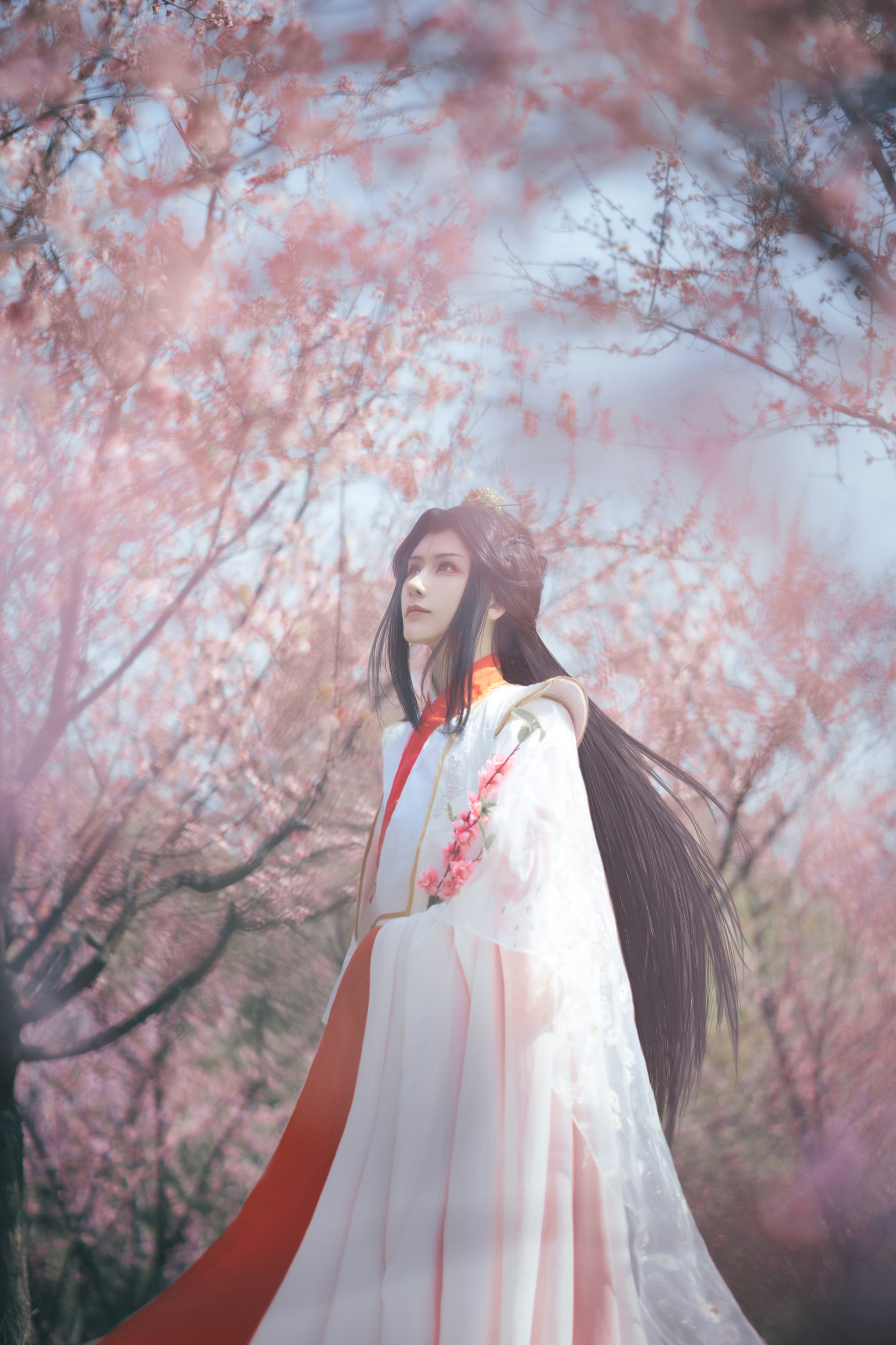 T⑪7 公式 コスプレ 天官賜福 太子悦神 花冠武神 四名景 王子 謝憐 T⑪7 公式 コスプレ 天官賜福 太子悦神 花冠武神 四名景 王子